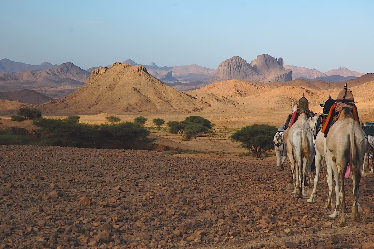 The Mythical Camel Trek from Tamarasset to Djanet