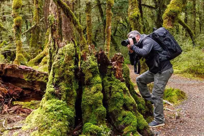Photo nature trip to New Zealand