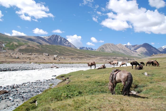 Traveling to Mongolia: Our Essential Tips for Preparing Your Journey