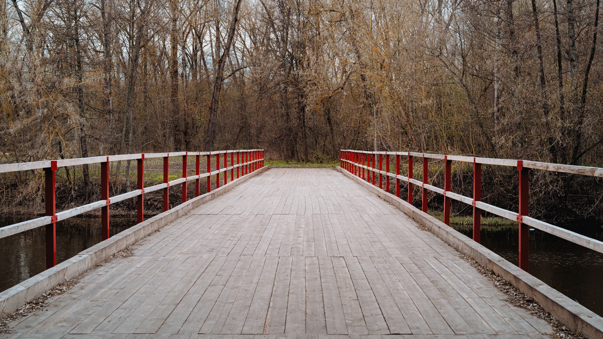 Tuul River Bridge Terelj National Park