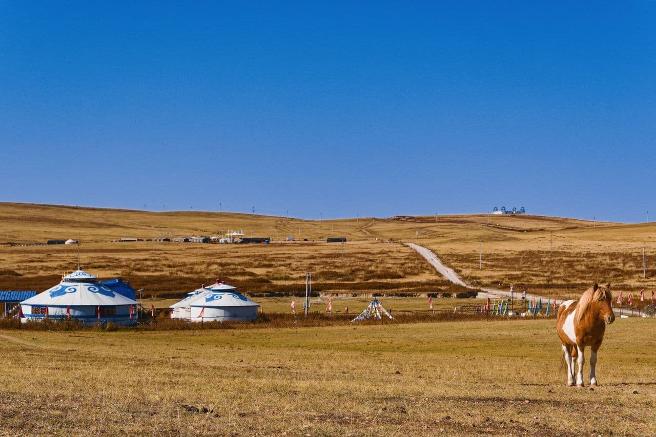 Sagsai