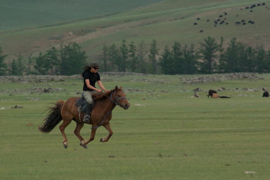 Auf dem Weg in die Mongolei: Welche Route soll ich wählen?