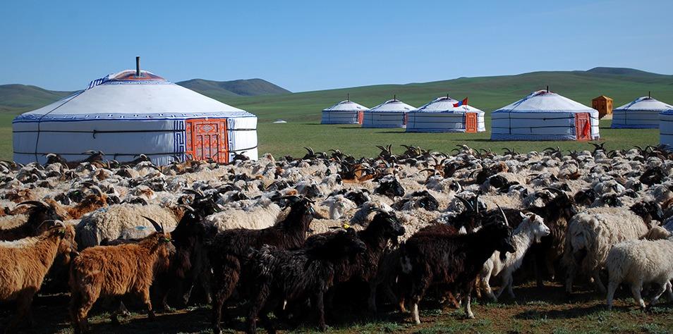 The 10 Best Yurt Camps in Mongolia