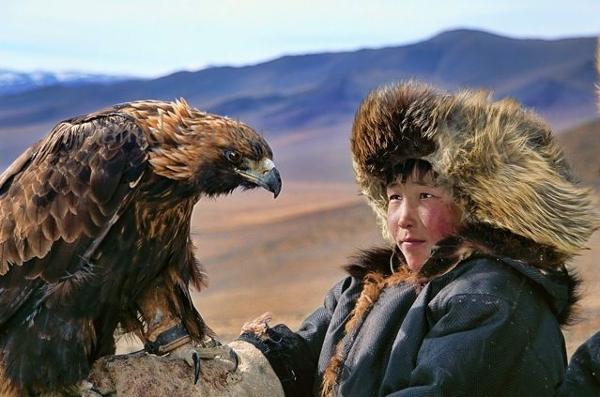 Jeune aiglier et son aigle Royal