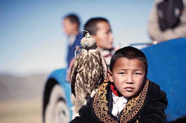 Eagle Festival Youngster