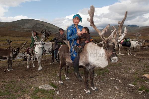 femme-nourrit-bebe-mongolie